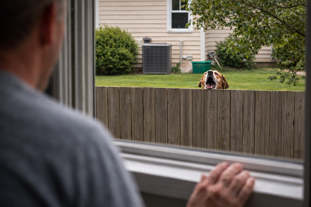 Reason #3. Works Indoors, Outdoors, and Even on Neighbor Dogs